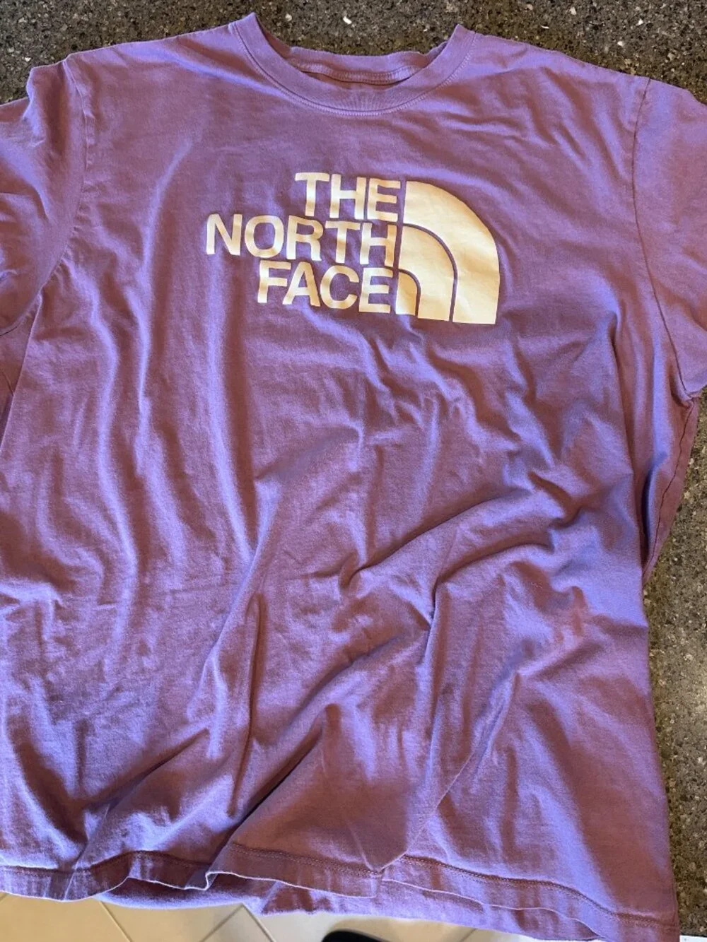 Men's The North Face Half Dome Logo T-Shirt, NWOT